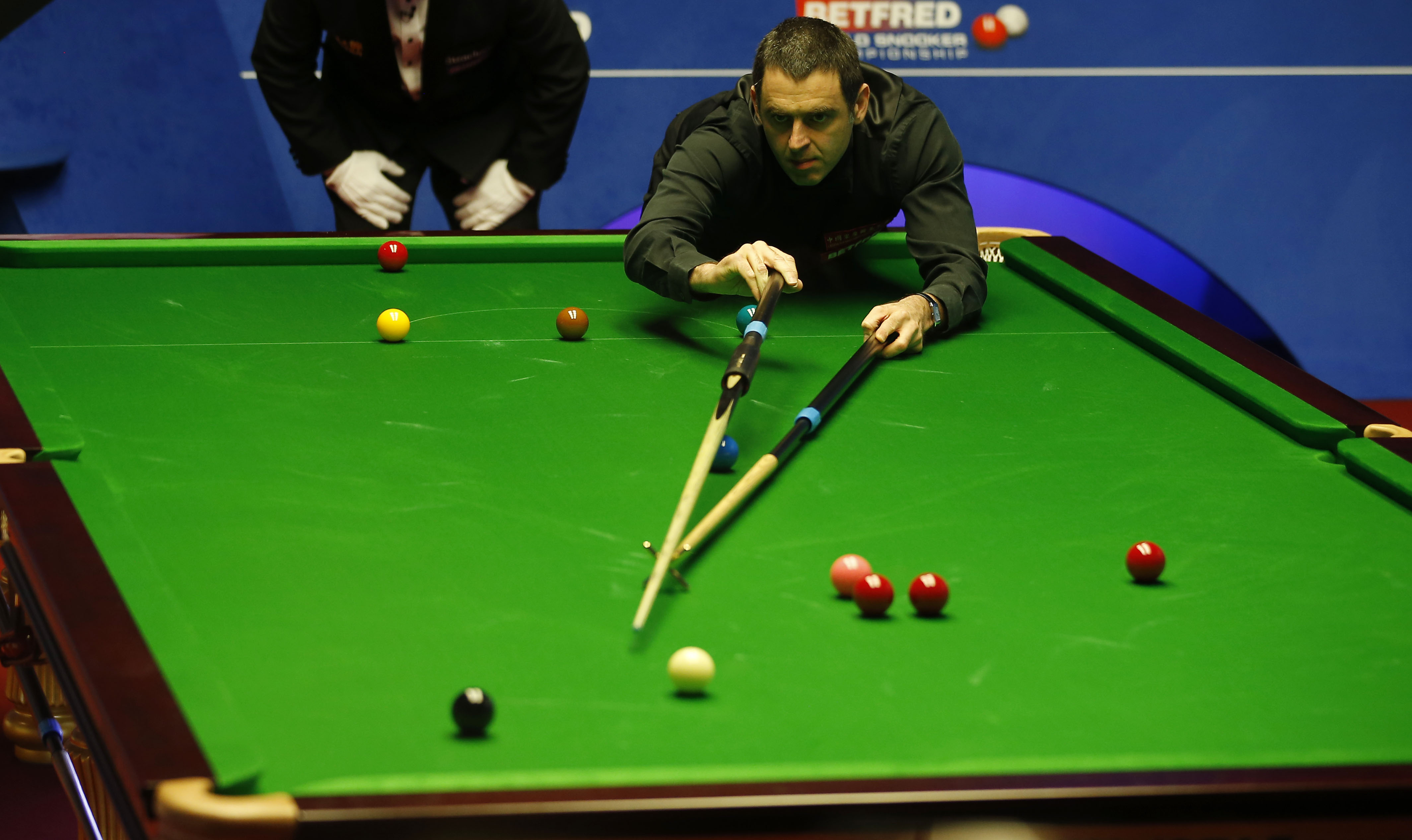 运动员和观 运动员和观