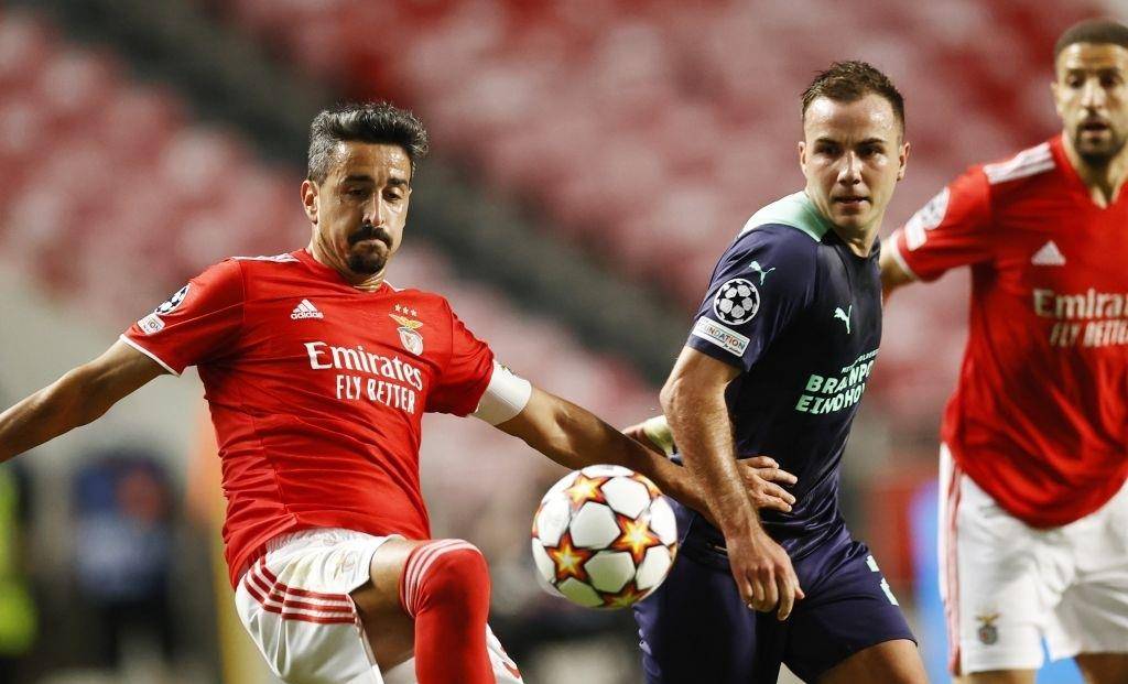 这一策略旨 这一策略旨